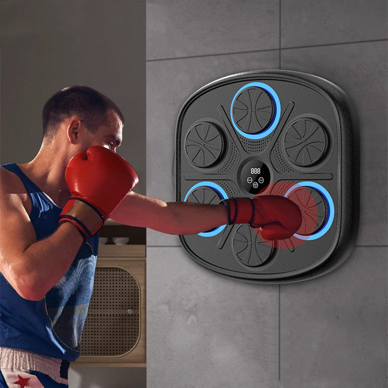 Music Boxing Target Training Wall Target Fitness