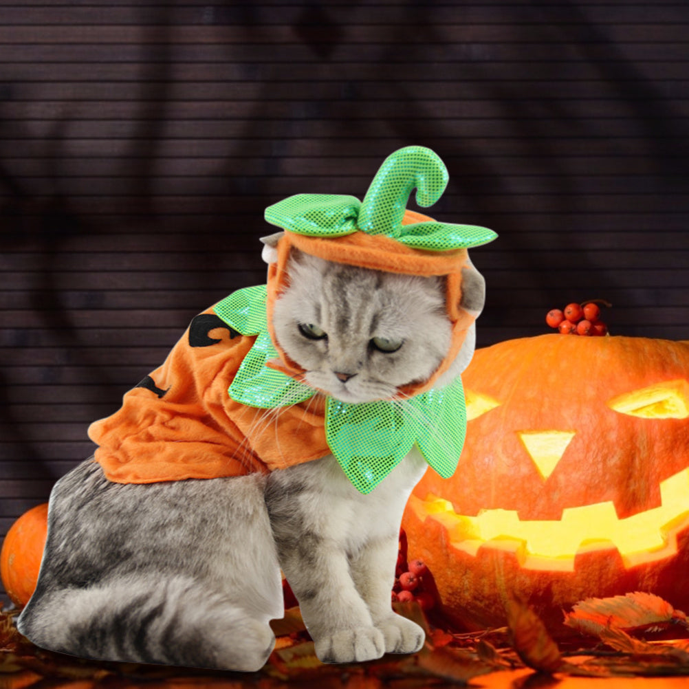 Halloween Pet Cats Costume Props Creative Pumpkin Shape