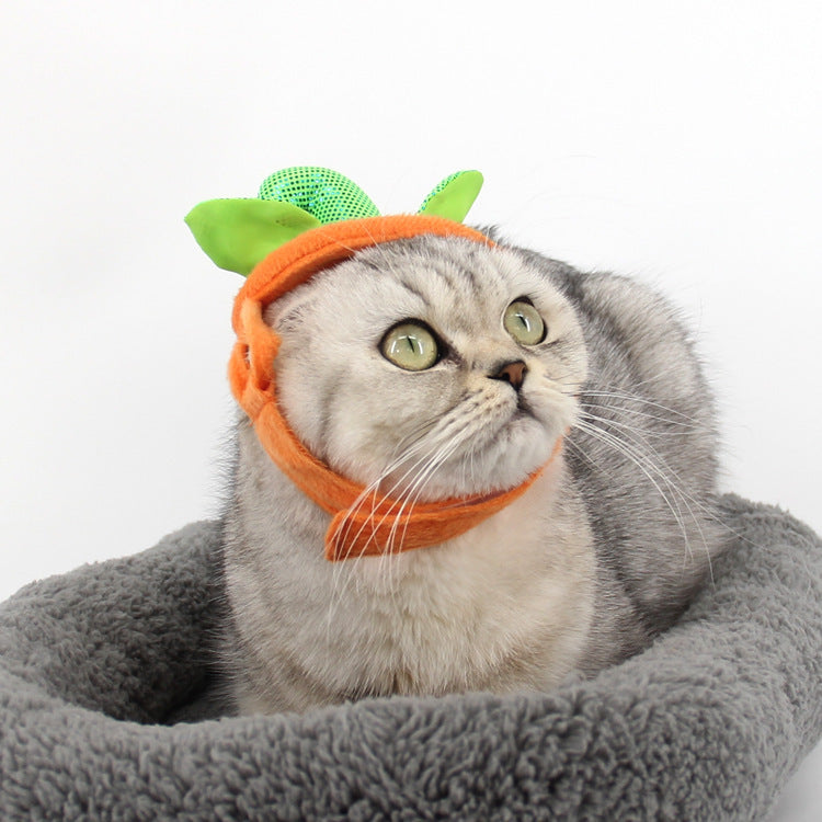 Halloween Pet Cats Costume Props Creative Pumpkin Shape