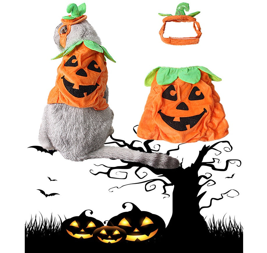 Halloween Pet Cats Costume Props Creative Pumpkin Shape