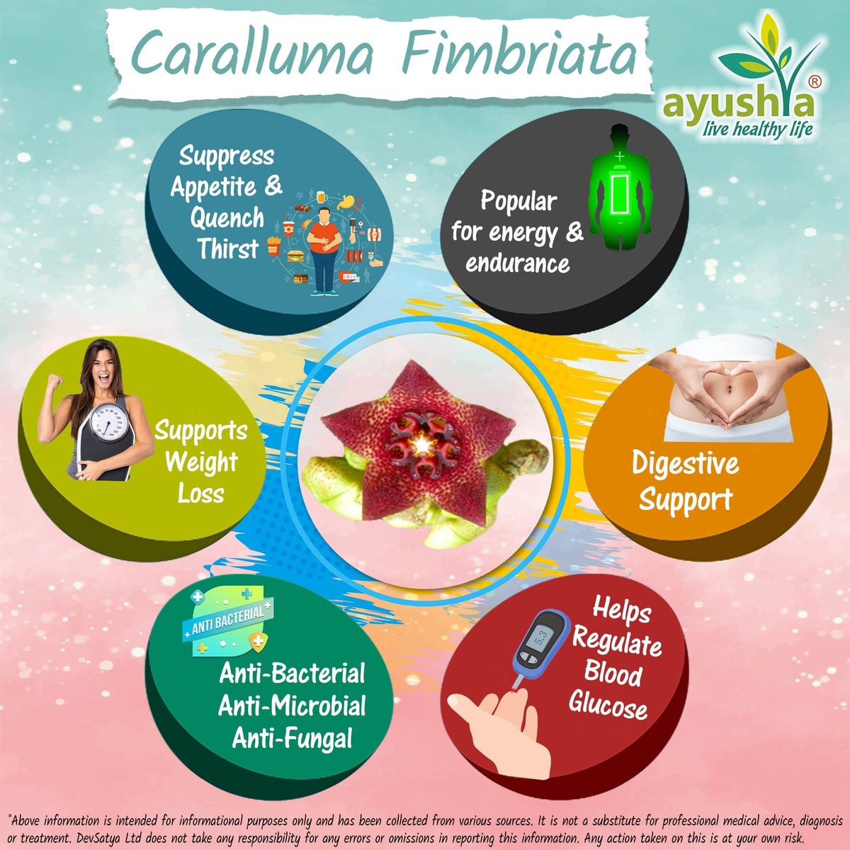 Ayushya Caralluma Fimbriata Capsules (Famine