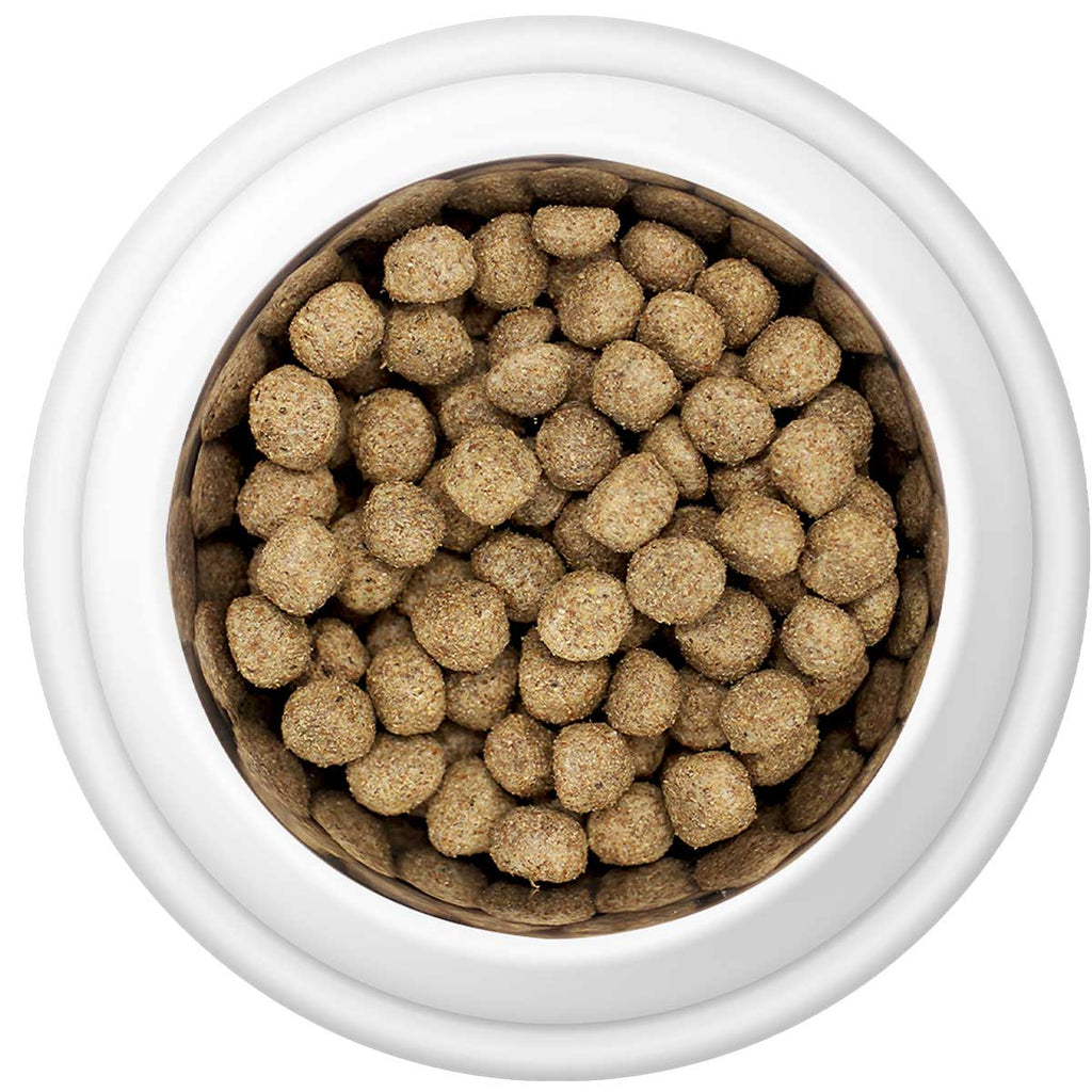 Country Pursuit Maintenance Lifestyle Adult Dog Food 15kg