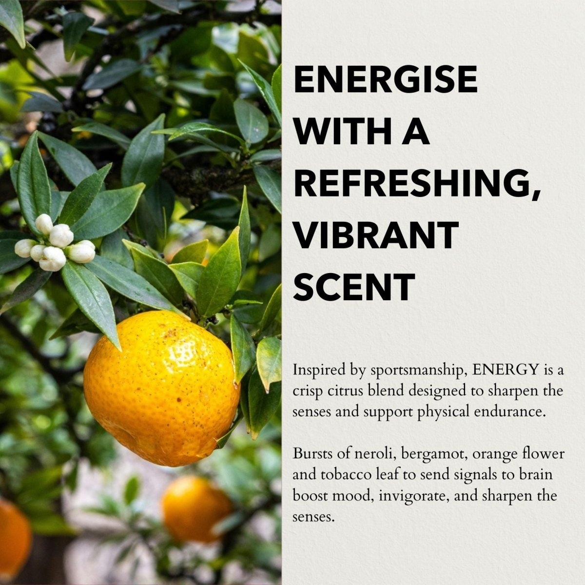 Eau de Parfum Energy | Voyage 10ml