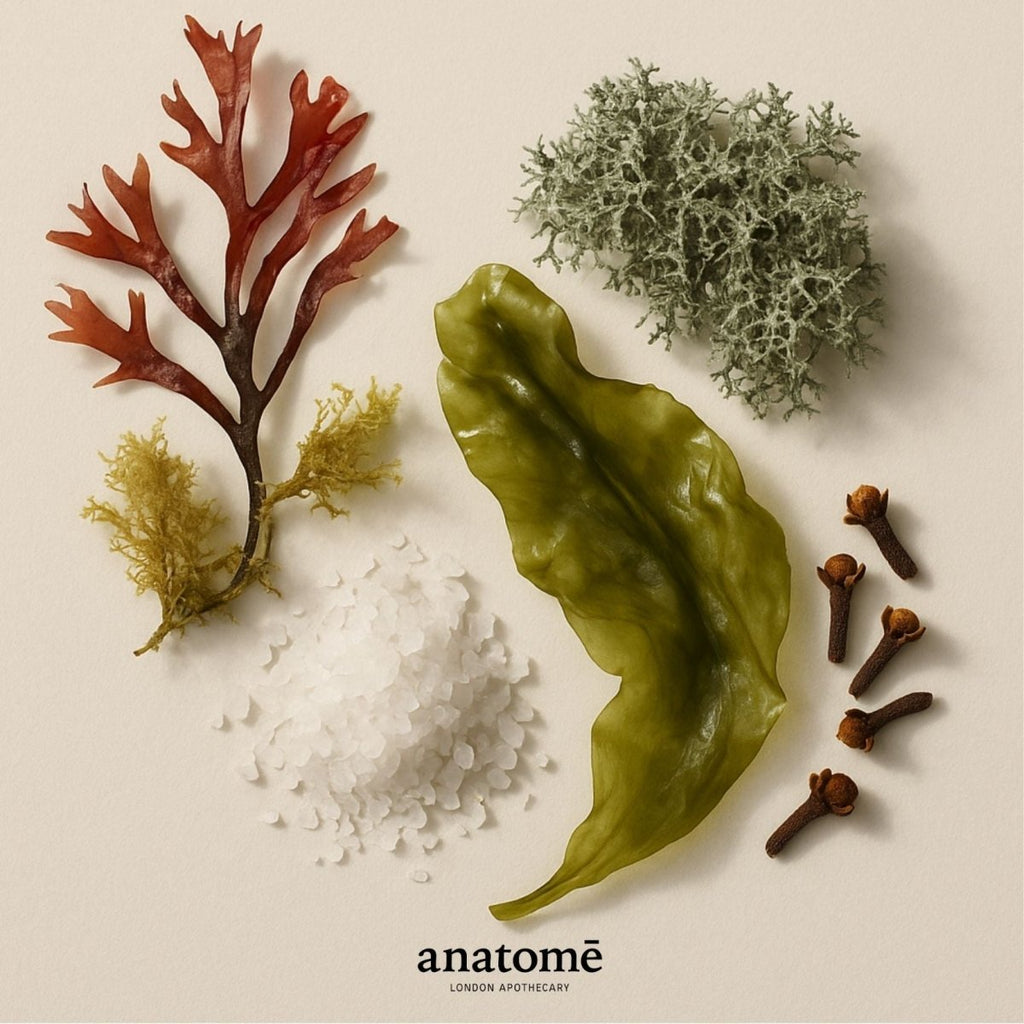 Expression Eau de Parfum | Libérez votre souffle et soutenez votre expression 10ml
