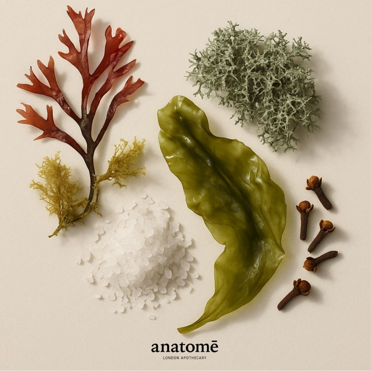 Expression Eau de Parfum | Libérez votre souffle et soutenez votre expression 10ml