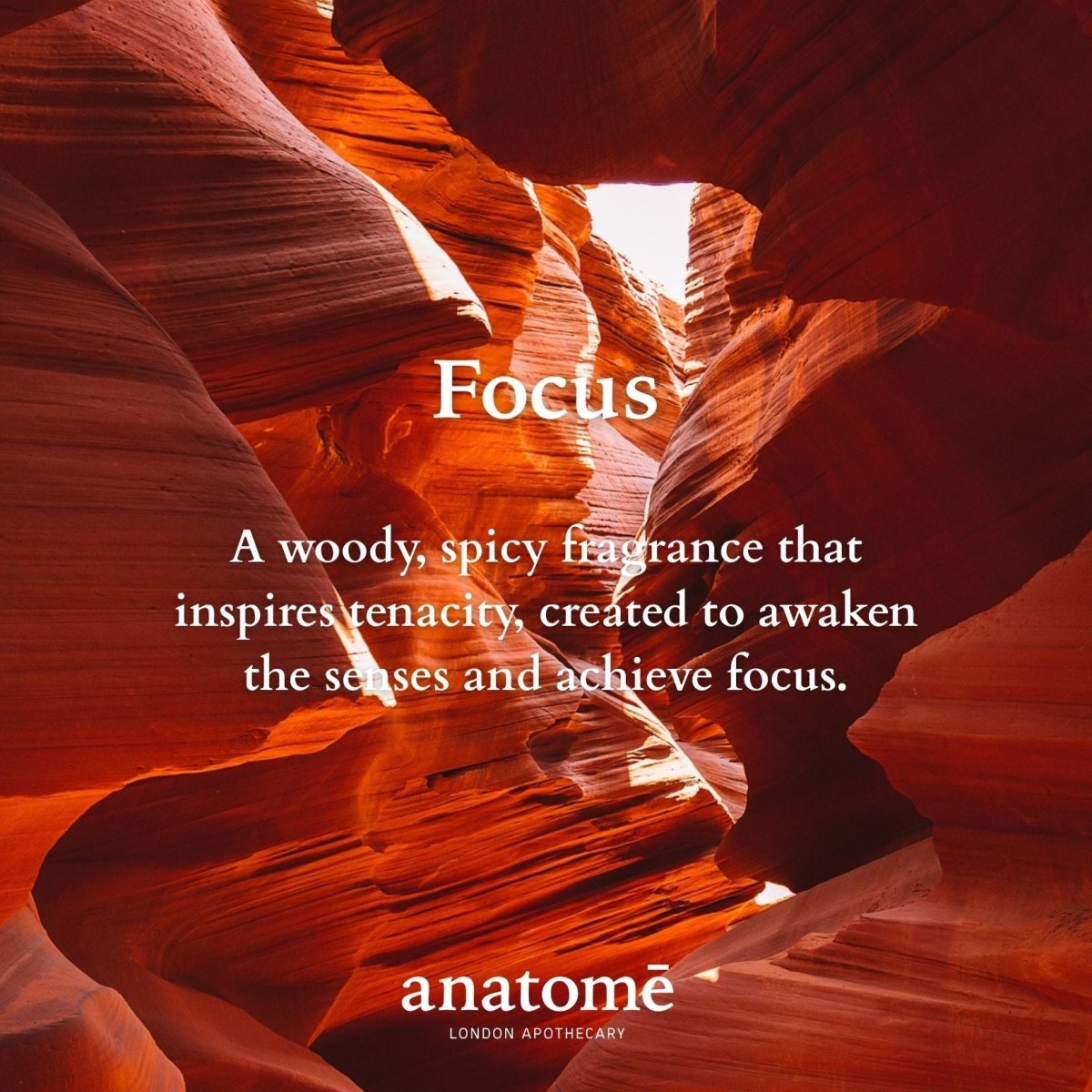 Focus Eau de Parfum | Voyage 10ml