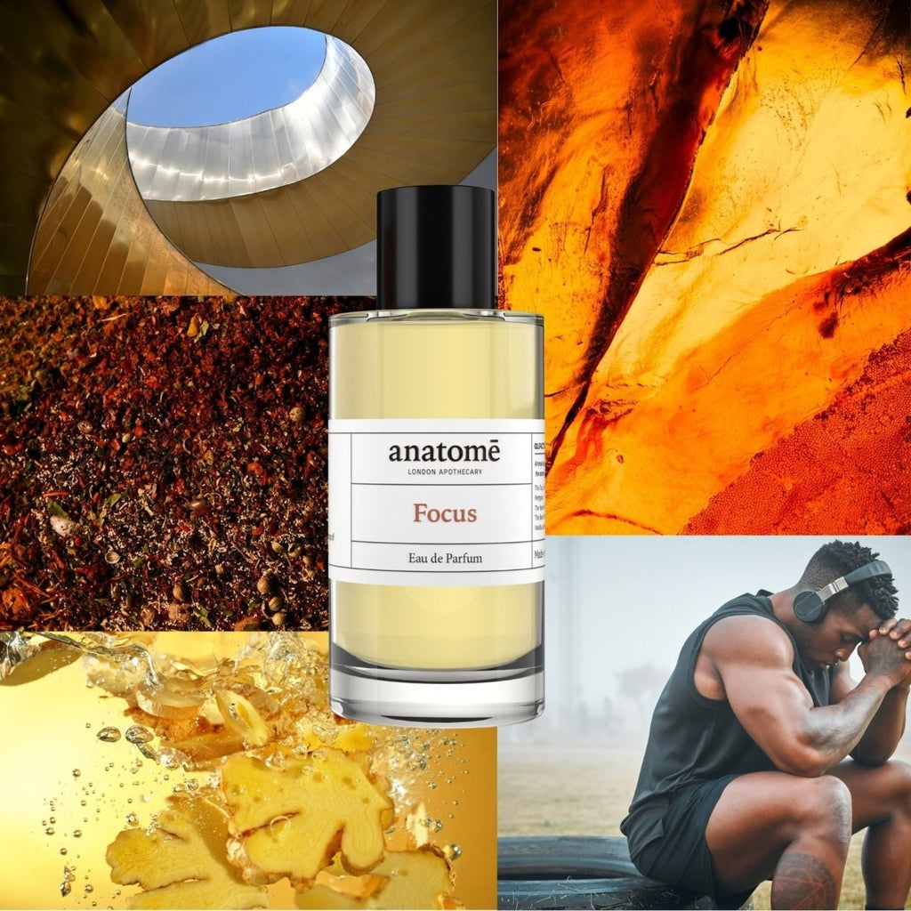 Focus Eau de Parfum | Voyage 10ml