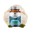 FOCUS - Lion’s Mane + Ashwagandha (60 Capsules)