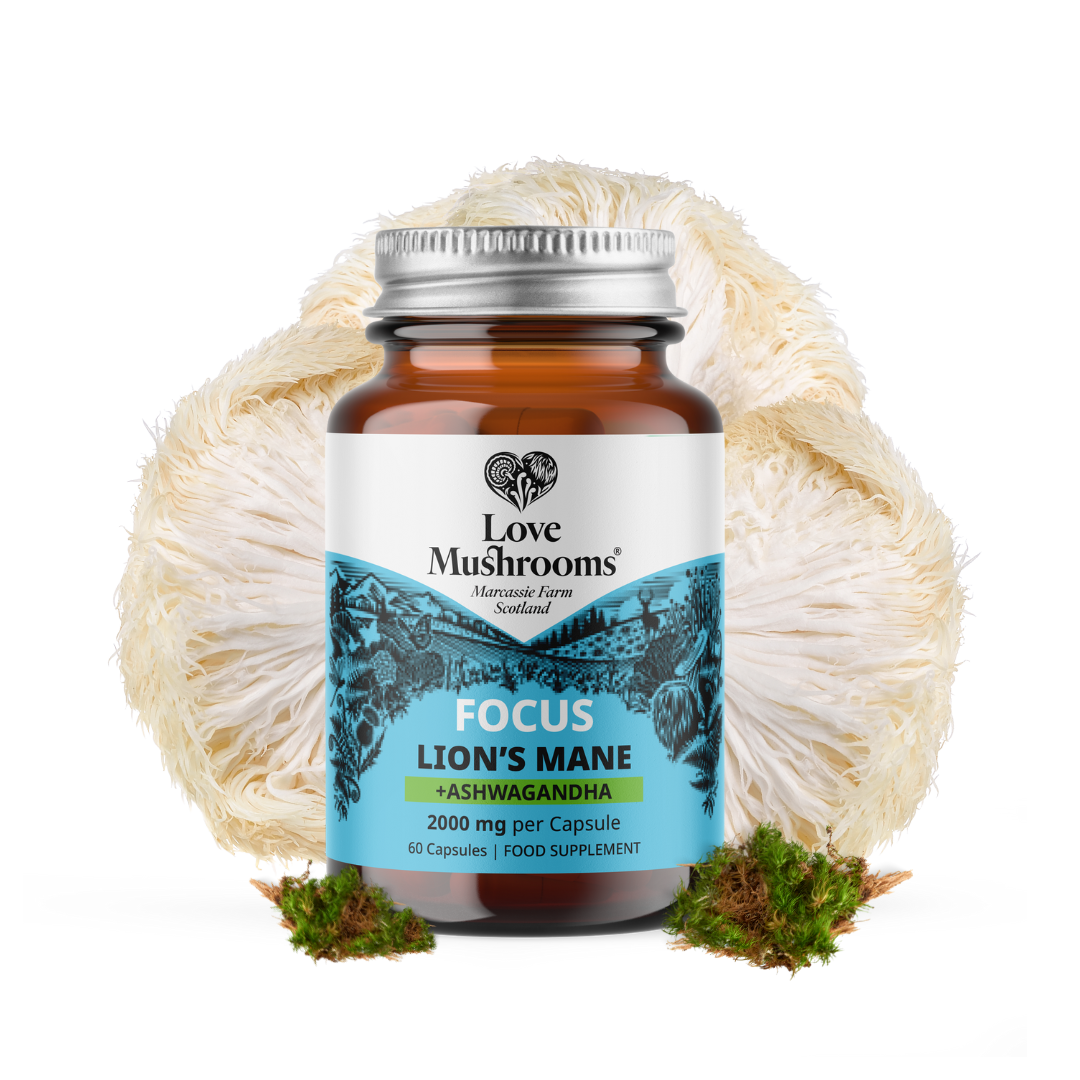 FOCUS - Lion’s Mane + Ashwagandha (60 Capsules)