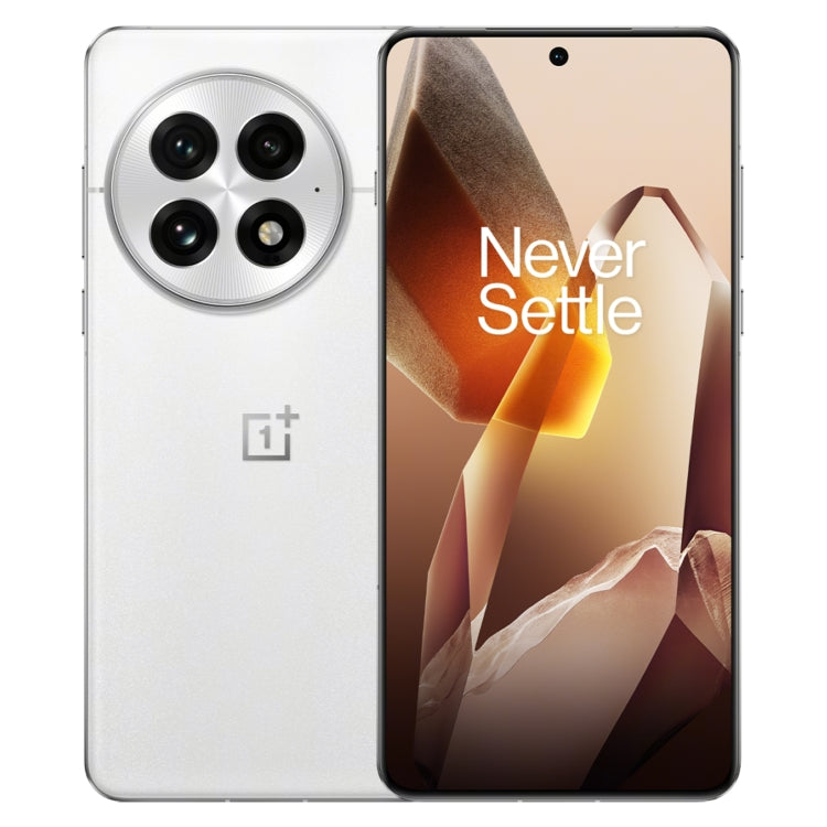 OnePlus 13 PJZ110, 12GB+256GB