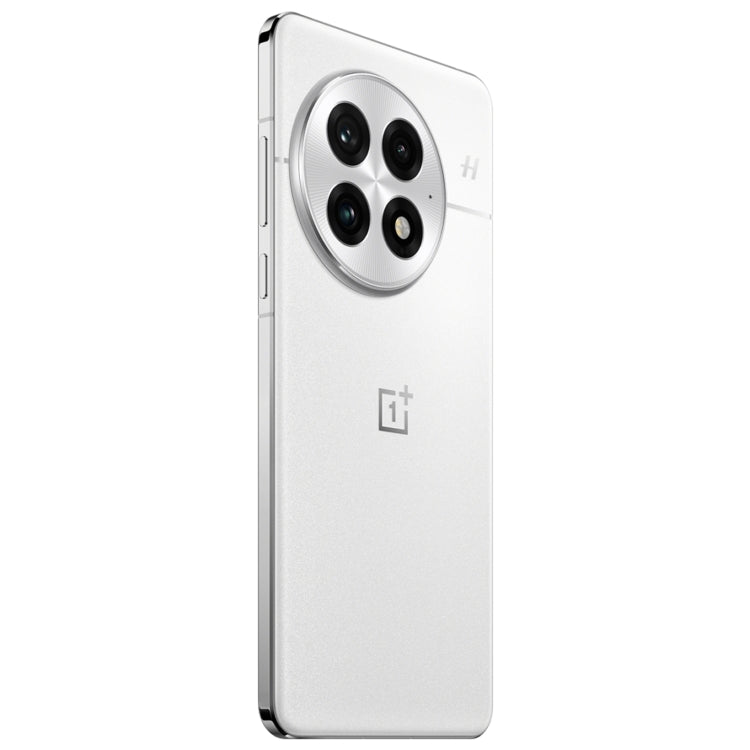 OnePlus 13 PJZ110, 12GB+256GB
