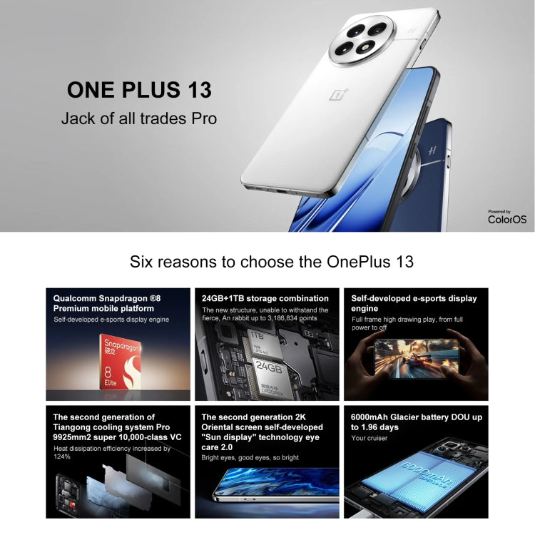 OnePlus 13 PJZ110, 12GB+256GB