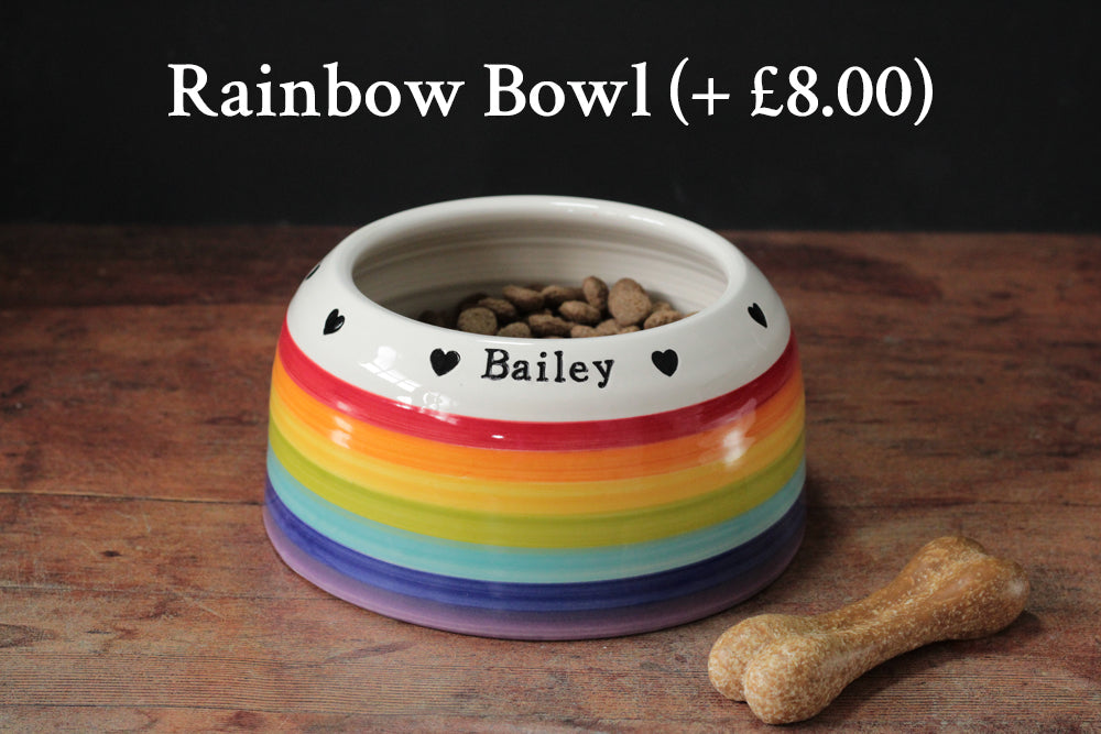 Springer Spaniel Bowl