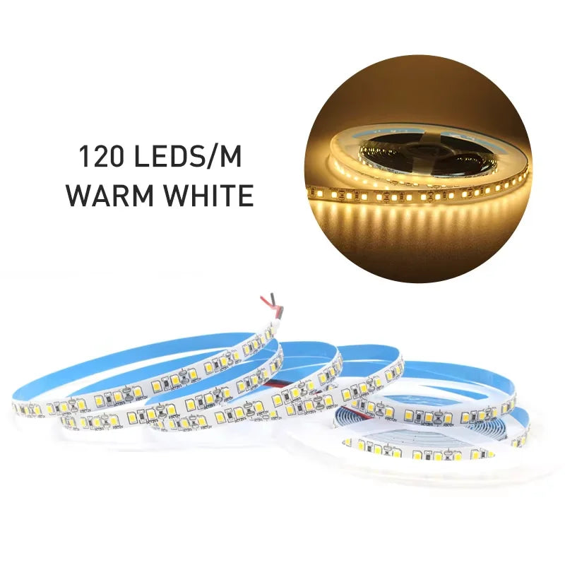 12V LED Strip SMD 2835 1M 2M 3M 4M 5M LED Stripe