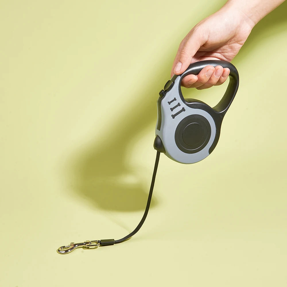 Dog Leash for Small Dogs & Cats