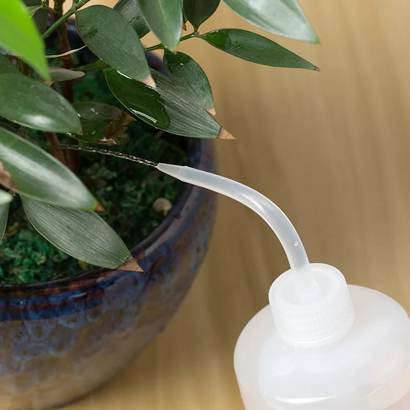 150/250 / 500mL Water Beak Pouring Kettle Tool