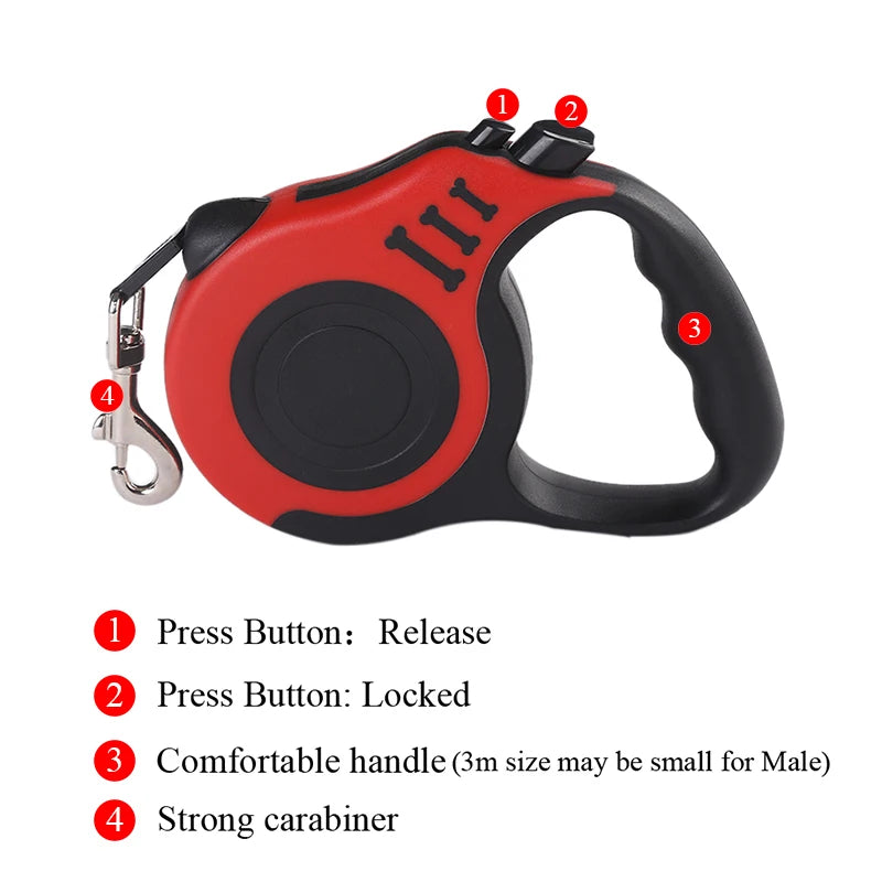 Dog Leash for Small Dogs & Cats