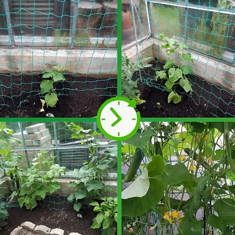 Plant Trellis Pergolas, Heavy - Duty Polyester Grow