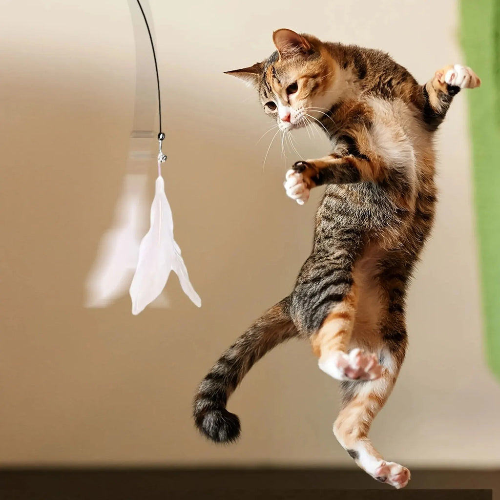 Jouet Teaser pour Chat - Baguette Interactive avec Clochette et Plumes