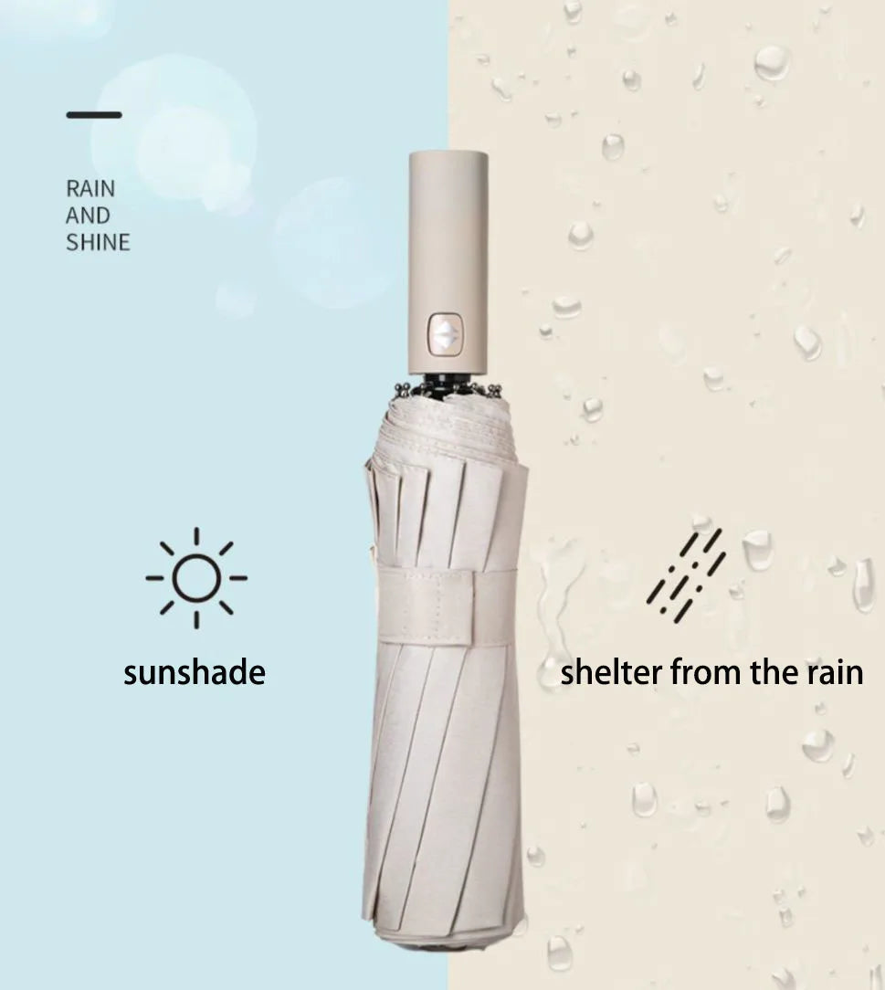 Reinforced 24 - Bone Umbrella, Men's Business