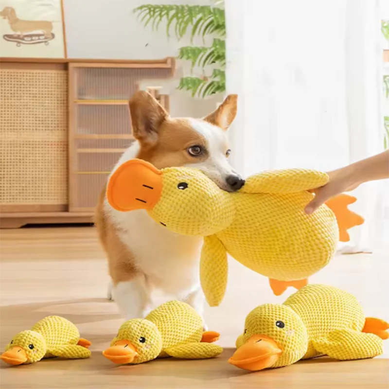 Dog sleeping with a dog hug duck toys to relieve