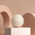 Hedgehog Massage Ball Yoga Fascia Ball Sports