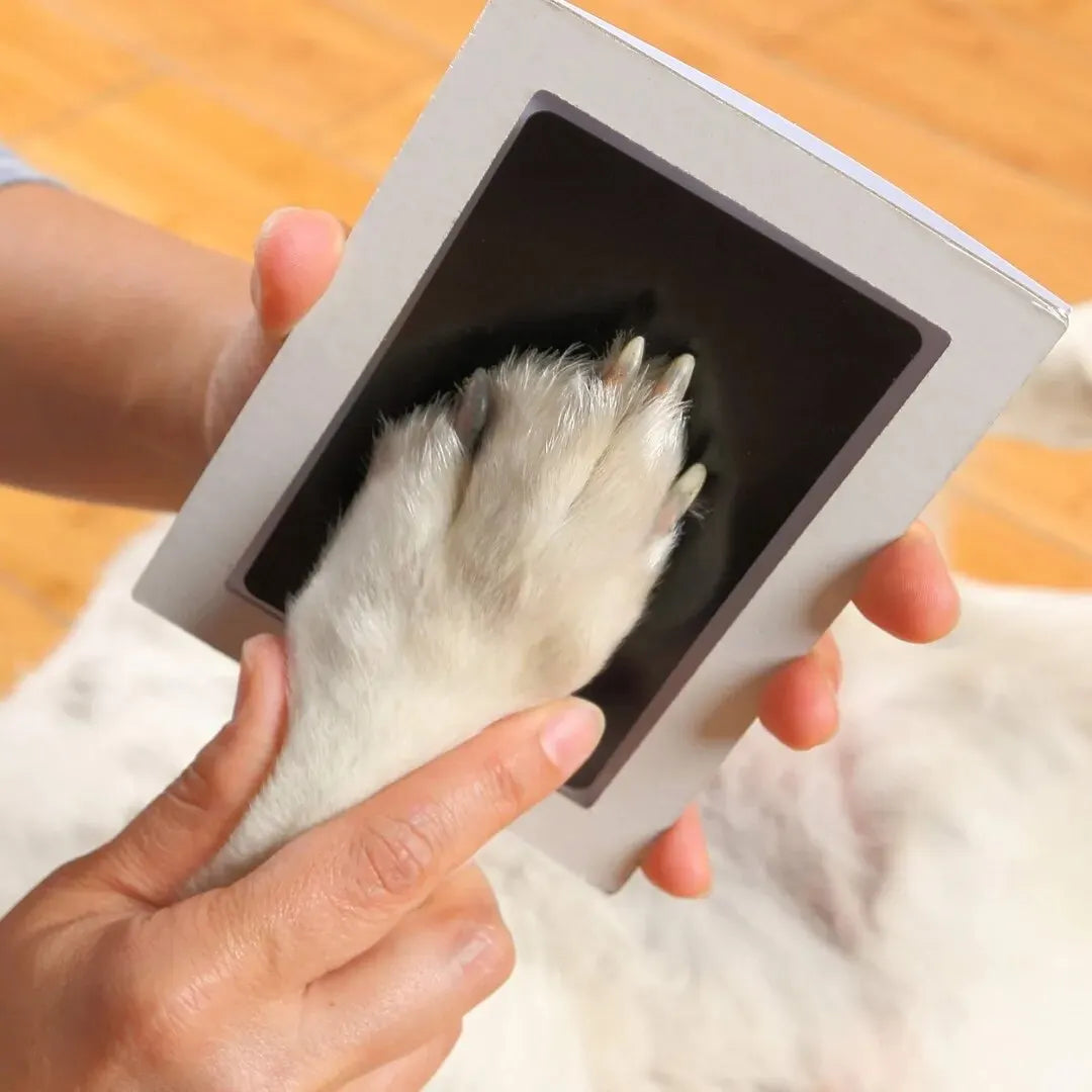Paw Print Clean Touch Ink Pad, Dog Or Cat Pet