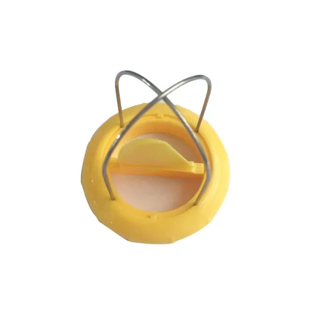 Fast Peel Kiwi Cutter Fruit Peeler Slicer Lemon