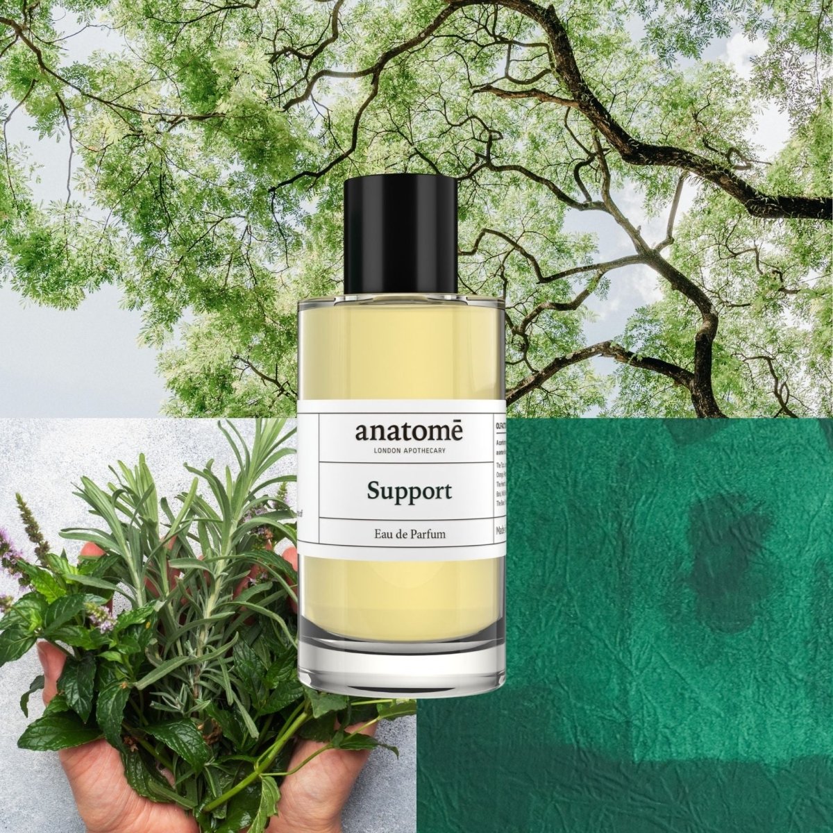 Support Eau de Parfum | Travel 10ml
