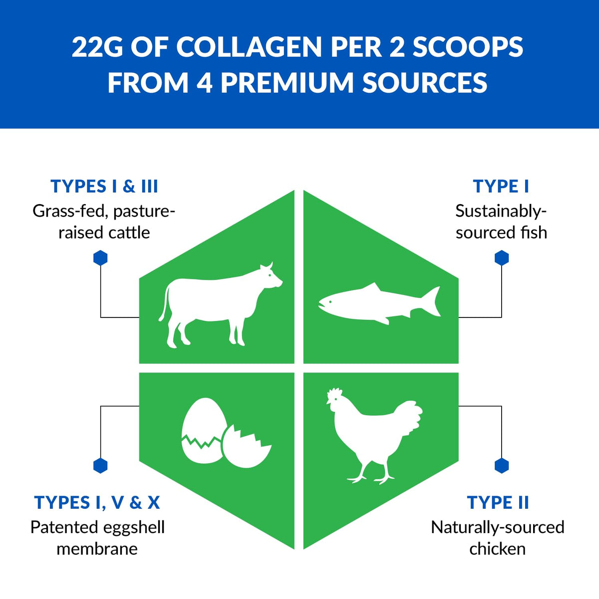 Multi Collagen Peptides Powder