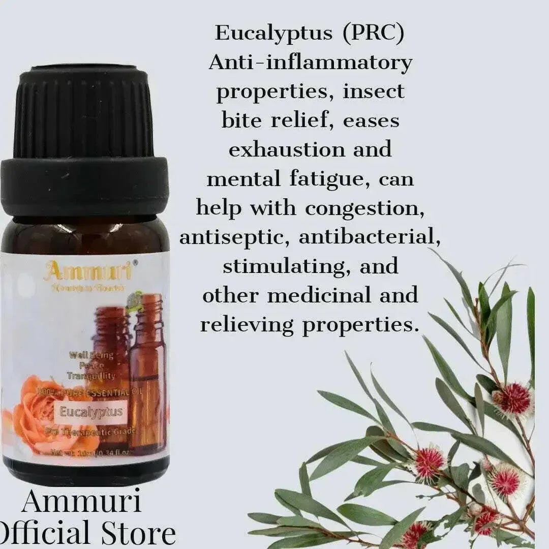 Coffret Cadeau d'Huiles Essentielles pour l'Aromathérapie