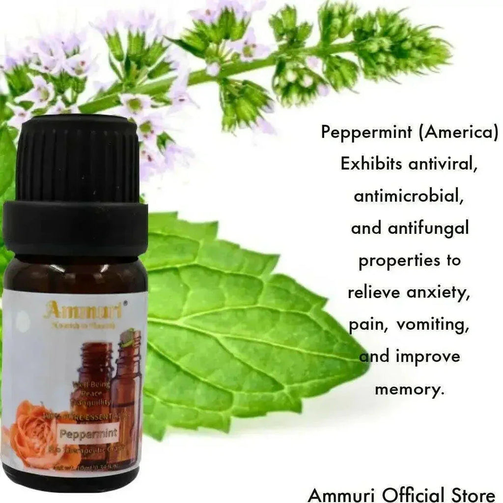 Coffret Cadeau d'Huiles Essentielles pour l'Aromathérapie
