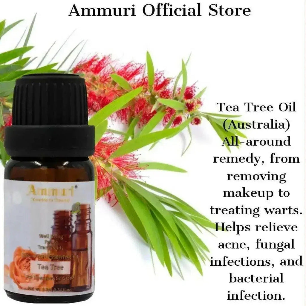 Coffret Cadeau d'Huiles Essentielles pour l'Aromathérapie