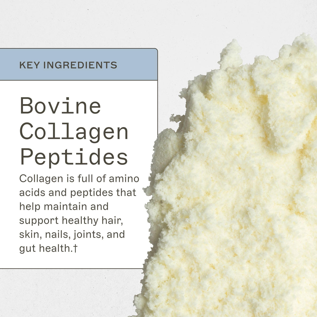 Amy Myers MD Collagen Protein Powder Type