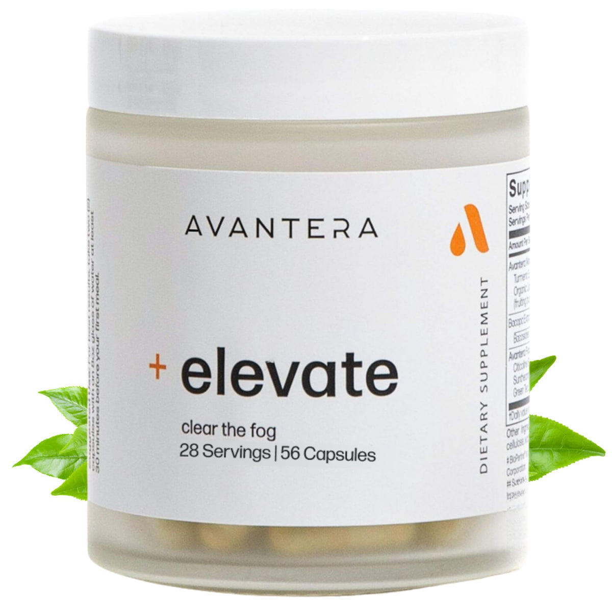Premium Nootropic - Focus & Elevate