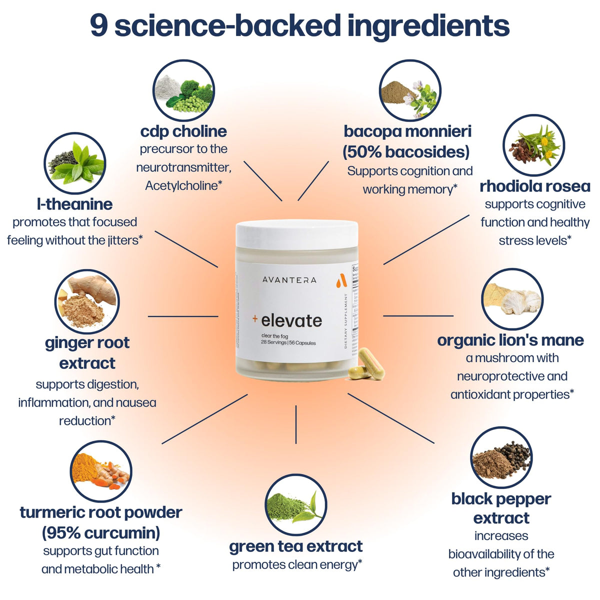 Premium Nootropic - Focus & Elevate