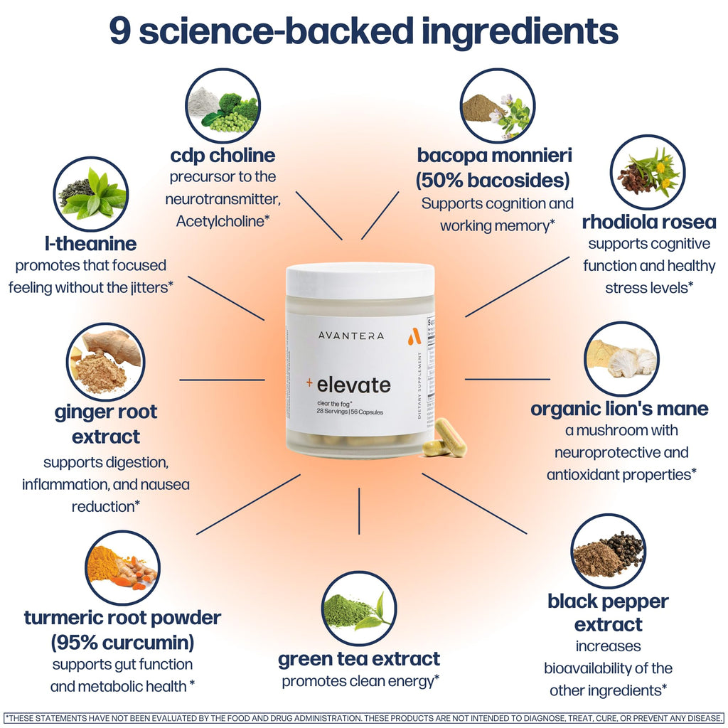 Premium Nootropic - Focus & Elevate