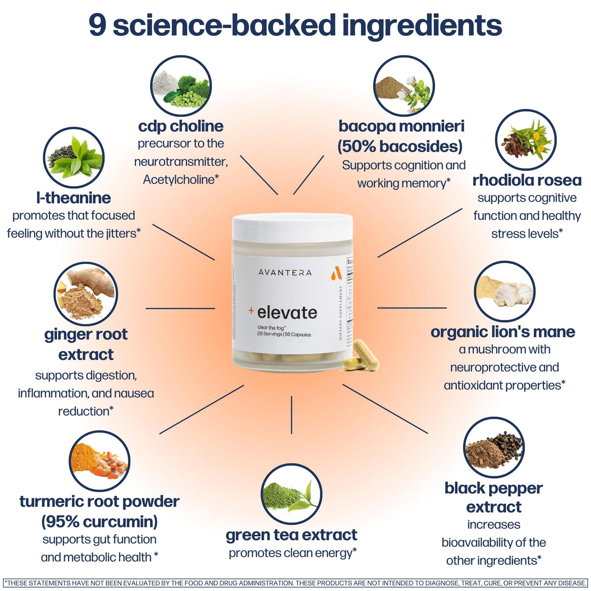 Premium Nootropic - Focus & Elevate