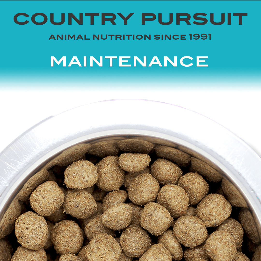 Country Pursuit Maintenance Lifestyle Adult Dog Food 15kg