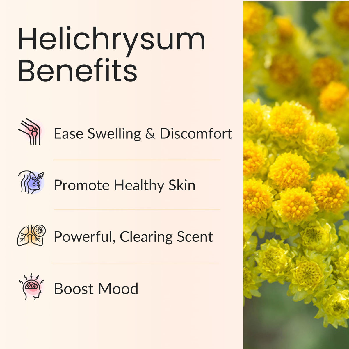 Vitality Extracts Huile Essentielle d'Hélichryse 30ml