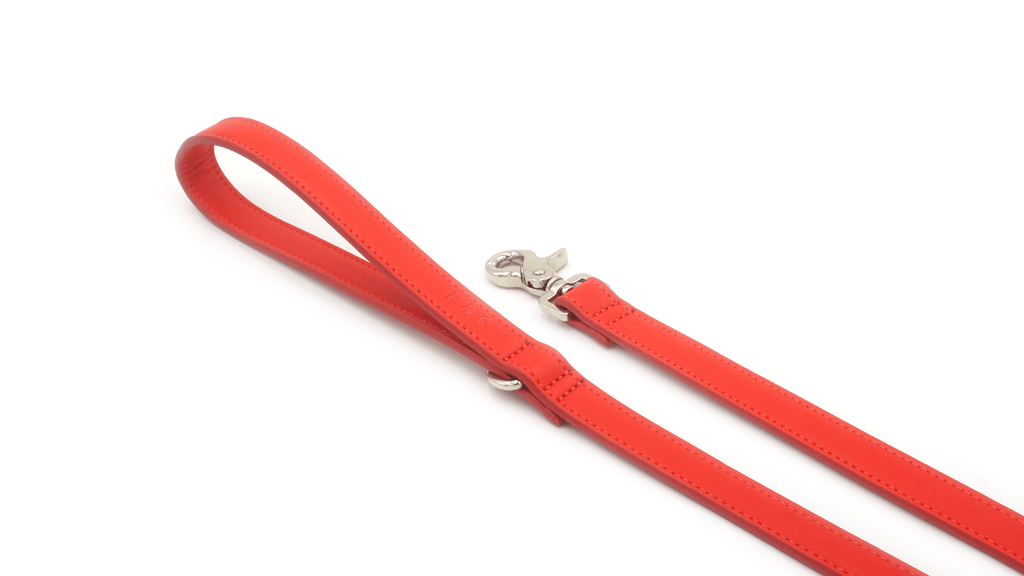 Laisse pour chien en cuir rouge