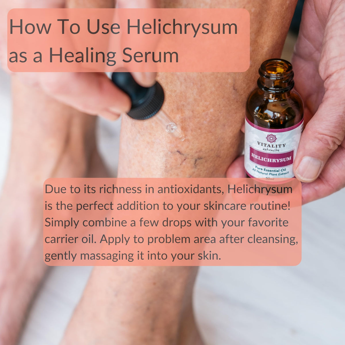 Huile Essentielle d'Hélichryse 10ml Vitality Extracts