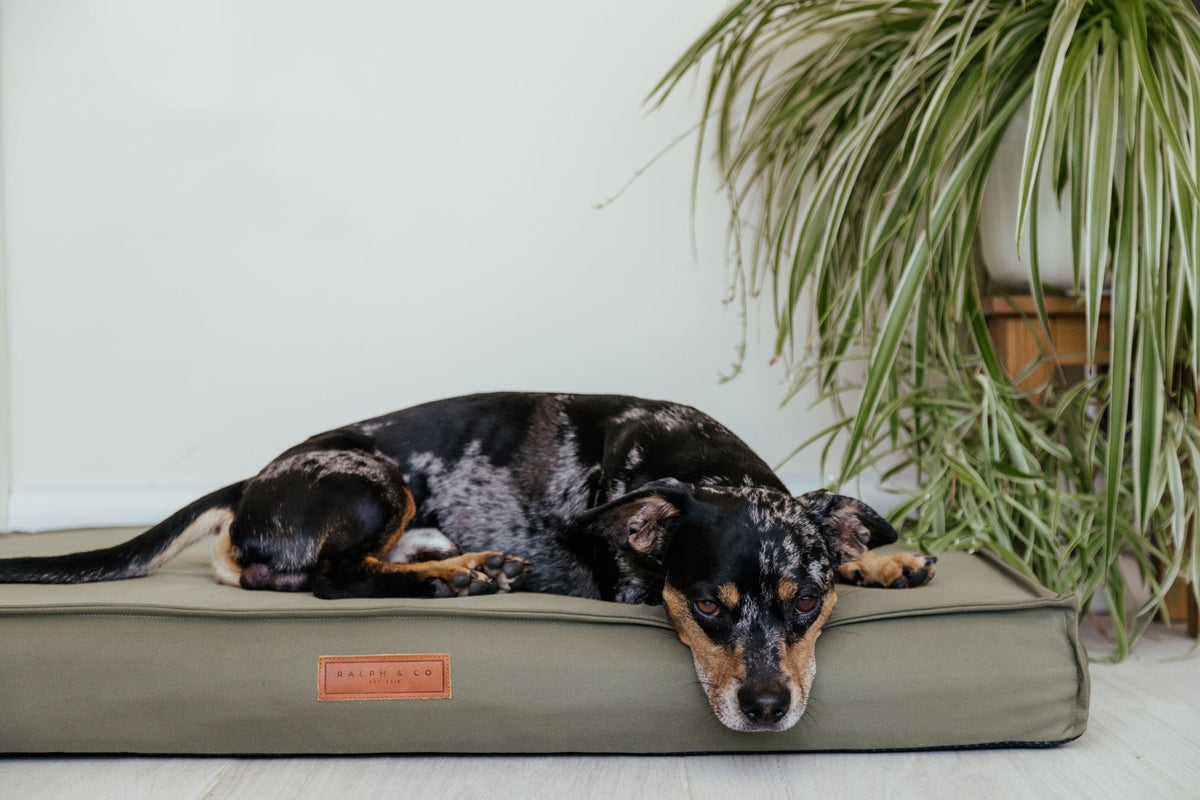 Waterproof & Memory Foam Dog Bed With Removable Covers